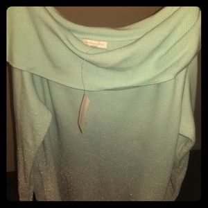 Silver/Powder blue sweater, NY & Company, XL